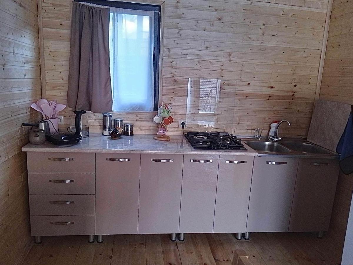 Twin Cottages Kazbegi Zewnętrze zdjęcie